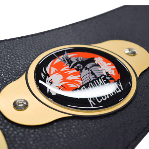 Чемпионский пояс