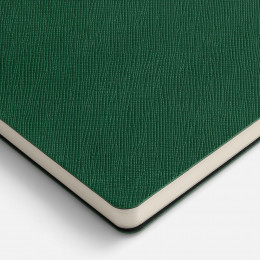 Ежедневник Lungo, недатированный, зеленый