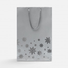 Пакет Wintry, серебристый