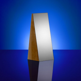 Стела Challenger