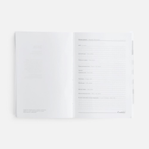 Ежедневник Baza, датированный, зеленый