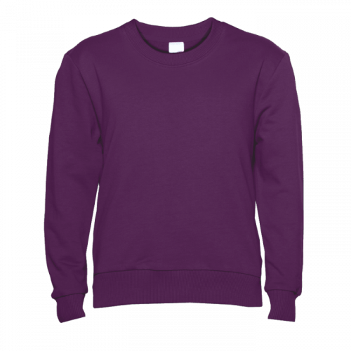 Свитшот детский STAN футер без начёса, 260, 63J