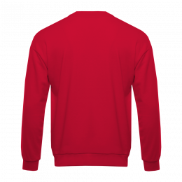 Свитшот унисекс STAN футер без начёса, 350, 96