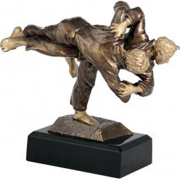 Фигурка литая Дзюдо RFST2003/BR 17см