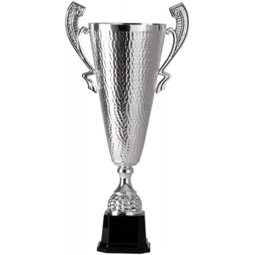 Кубок 2003E (39,5 см) D-120