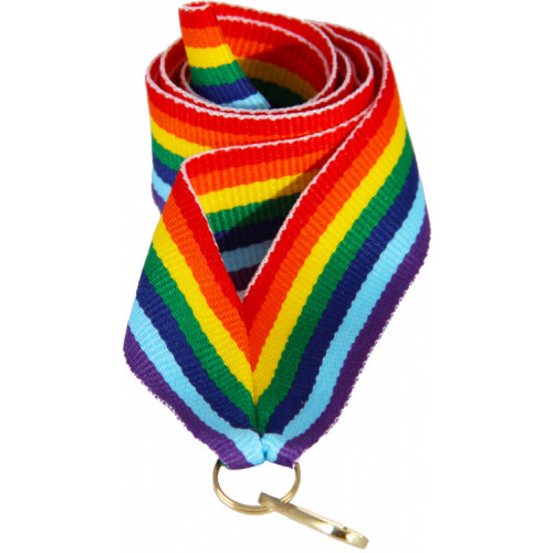 Лента (шир.22 мм) V2-RAINBOW