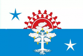 Флаг Серова